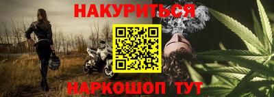 шишки Лесосибирск