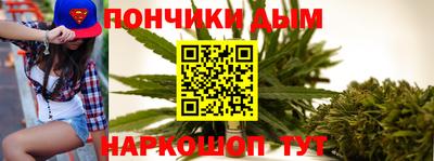 шишки Лесосибирск