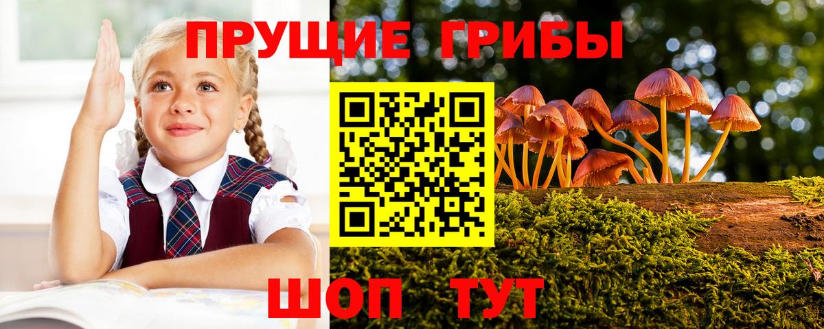 Галлюциногенные грибы MAGIC MUSHROOMS Будённовск